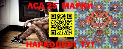 наркотики Будённовск