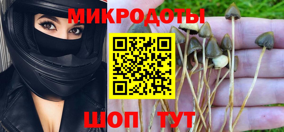 Псилоцибиновые грибы GOLDEN TEACHER Красноармейск